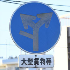 異形矢印標識(指定方向外進行禁止)。新潟県新潟市にある。
