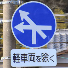 異形矢印標識(指定方向外進行禁止)。静岡県静岡市葵区にある。