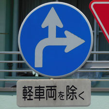 異形矢印標識(指定方向外進行禁止)。静岡県富士宮市にある。