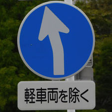 異形矢印標識(指定方向外進行禁止)。静岡県浜松市にある。