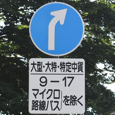 異形矢印標識(指定方向外進行禁止)。長野県小諸市にある。