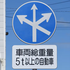 異形矢印標識(指定方向外進行禁止)。熊本県水俣市にある。