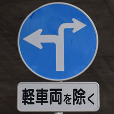 異形矢印標識(指定方向外進行禁止)。静岡県富士宮市にある。