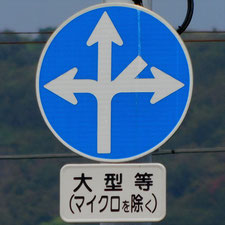異形矢印標識(指定方向外進行禁止)。静岡県清水町にある。