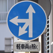 異形矢印標識(指定方向外進行禁止)。静岡県静岡市葵区にある。