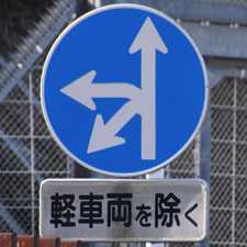 異形矢印標識(指定方向外進行禁止)。静岡県富士市にある。