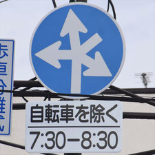 異形矢印標識(指定方向外進行禁止)。長野県長野市にある。
