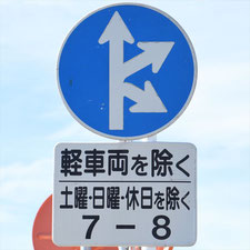 異形矢印標識(指定方向外進行禁止)。静岡県伊豆の国市にある。