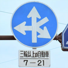 異形矢印標識(指定方向外進行禁止)。長野県長野市にある。