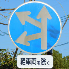 異形矢印標識(指定方向外進行禁止)。静岡県浜松市にある。