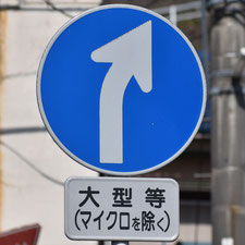 異形矢印標識(指定方向外進行禁止)。静岡県熱海市にある。