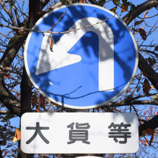 異形矢印標識(指定方向外進行禁止)。新潟県新潟市にある。