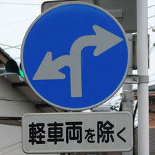 異形矢印標識(指定方向外進行禁止)。静岡県浜松市にある。