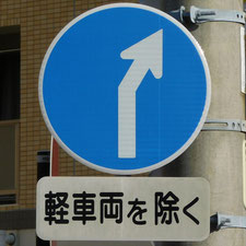 異形矢印標識(指定方向外進行禁止)。静岡県浜松市にある。