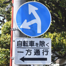 異形矢印標識(指定方向外進行禁止)。東京都中野区にある。