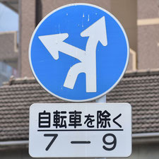 異形矢印標識(指定方向外進行禁止)。岡山県岡山市にある。