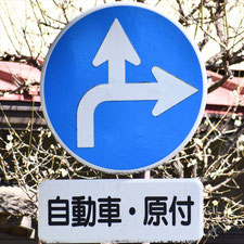異形矢印標識(指定方向外進行禁止)。長野県諏訪市にある。