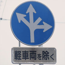 異形矢印標識(指定方向外進行禁止)。静岡県掛川市にある。