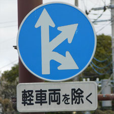 異形矢印標識(指定方向外進行禁止)。静岡県伊豆の国市にある。