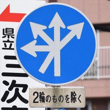 異形矢印標識(指定方向外進行禁止)。広島県三次市にある。