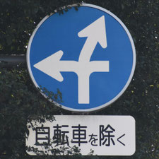 異形矢印標識(指定方向外進行禁止)。東京都中央区にある。