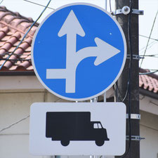 異形矢印標識(指定方向外進行禁止)。栃木県足利市にある。