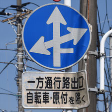 異形矢印標識(指定方向外進行禁止)。千葉県千葉市にある。