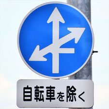 異形矢印標識(指定方向外進行禁止)。岡山県倉敷市にある。