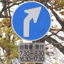異形矢印標識(指定方向外進行禁止)。長野県伊那市にある。