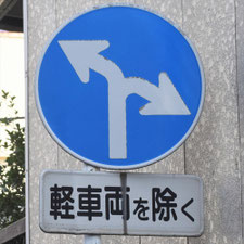 異形矢印標識(指定方向外進行禁止)。静岡県東伊豆町にある。