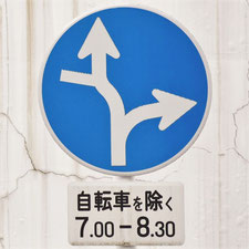異形矢印標識(指定方向外進行禁止)。広島県広島市にある。
