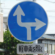 異形矢印標識(指定方向外進行禁止)。静岡県浜松市にある。