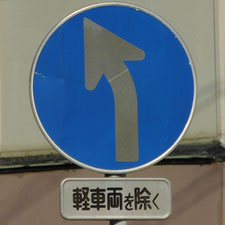 異形矢印標識(指定方向外進行禁止)。静岡県伊豆市にある。
