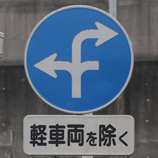 異形矢印標識(指定方向外進行禁止)。静岡県掛川市にある。