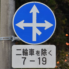 異形矢印標識(指定方向外進行禁止)。秋田県仙北市にある。