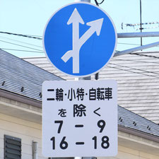 異形矢印標識(指定方向外進行禁止)。神奈川県鎌倉市にある。