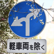 異形矢印標識(指定方向外進行禁止)。静岡県熱海市にある。