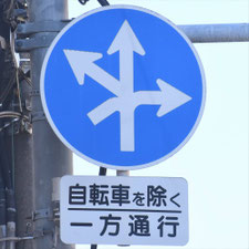 異形矢印標識(指定方向外進行禁止)。東京都目黒区にある。