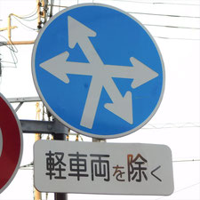 異形矢印標識(指定方向外進行禁止)。静岡県浜松市にある。