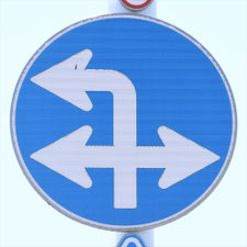 異形矢印標識(指定方向外進行禁止)。熊本県熊本市にある。