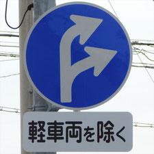 異形矢印標識(指定方向外進行禁止)。静岡県浜松市にある。