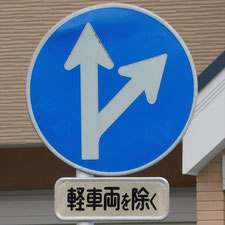 異形矢印標識(指定方向外進行禁止)。静岡県浜松市にある。