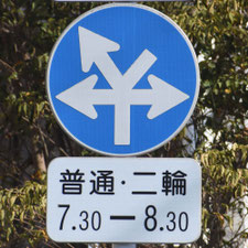 異形矢印標識(指定方向外進行禁止)。熊本県熊本市にある。