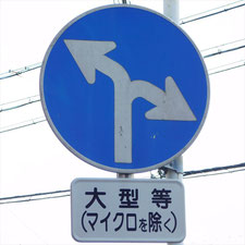 異形矢印標識(指定方向外進行禁止)。静岡県浜松市にある。