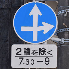 異形矢印標識(指定方向外進行禁止)。岡山県岡山市にある。