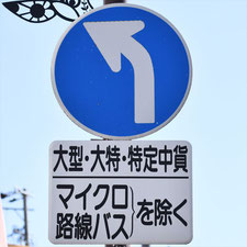 異形矢印標識(指定方向外進行禁止)。長野県岡谷市にある。