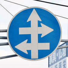 異形矢印標識(指定方向外進行禁止)。広島県広島市にある。
