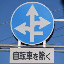 異形矢印標識(指定方向外進行禁止)。岡山県岡山市にある。