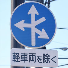 異形矢印標識(指定方向外進行禁止)。静岡県静岡市葵区にある。