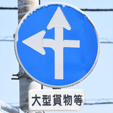 異形矢印標識(指定方向外進行禁止)。栃木県足利市にある。